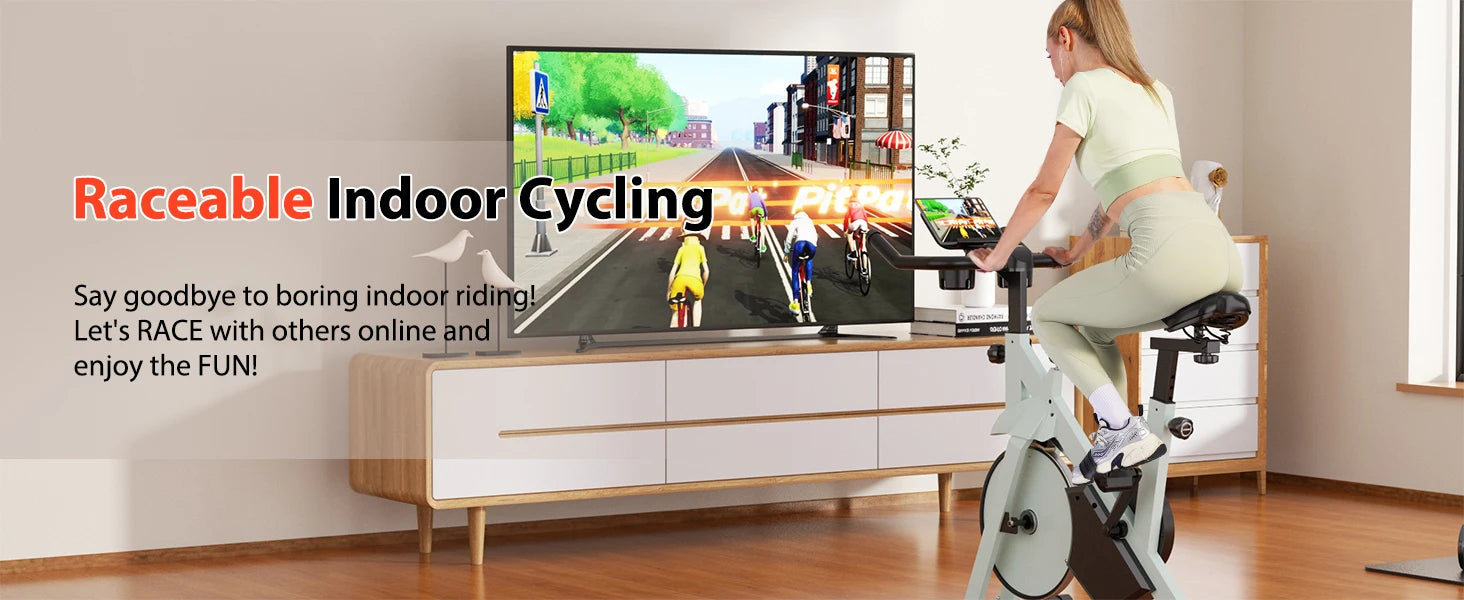 Low Noise Workout Cycling Bike for Home