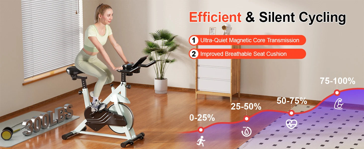 Low Noise Workout Cycling Bike for Home