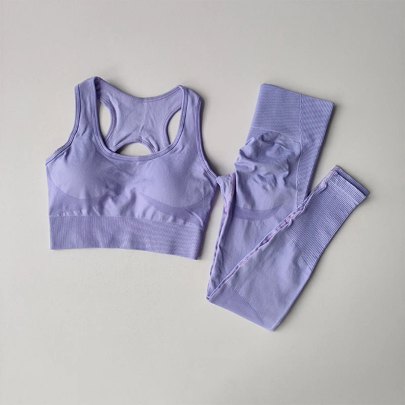 2PCS Sports Bra Women Set Professional Fitness Tank Top Bra Shockproof Running Leggings Yoga Suit Beautiful Back Bra Clothing