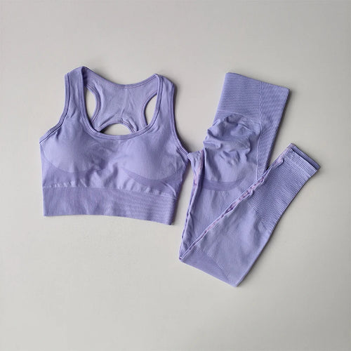 2PCS Sports Bra Women Set Professional Fitness Tank Top Bra Shockproof Running Leggings Yoga Suit Beautiful Back Bra Clothing