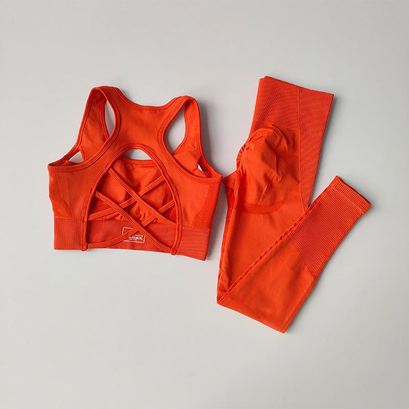 2PCS Sports Bra Women Set Professional Fitness Tank Top Bra Shockproof Running Leggings Yoga Suit Beautiful Back Bra Clothing
