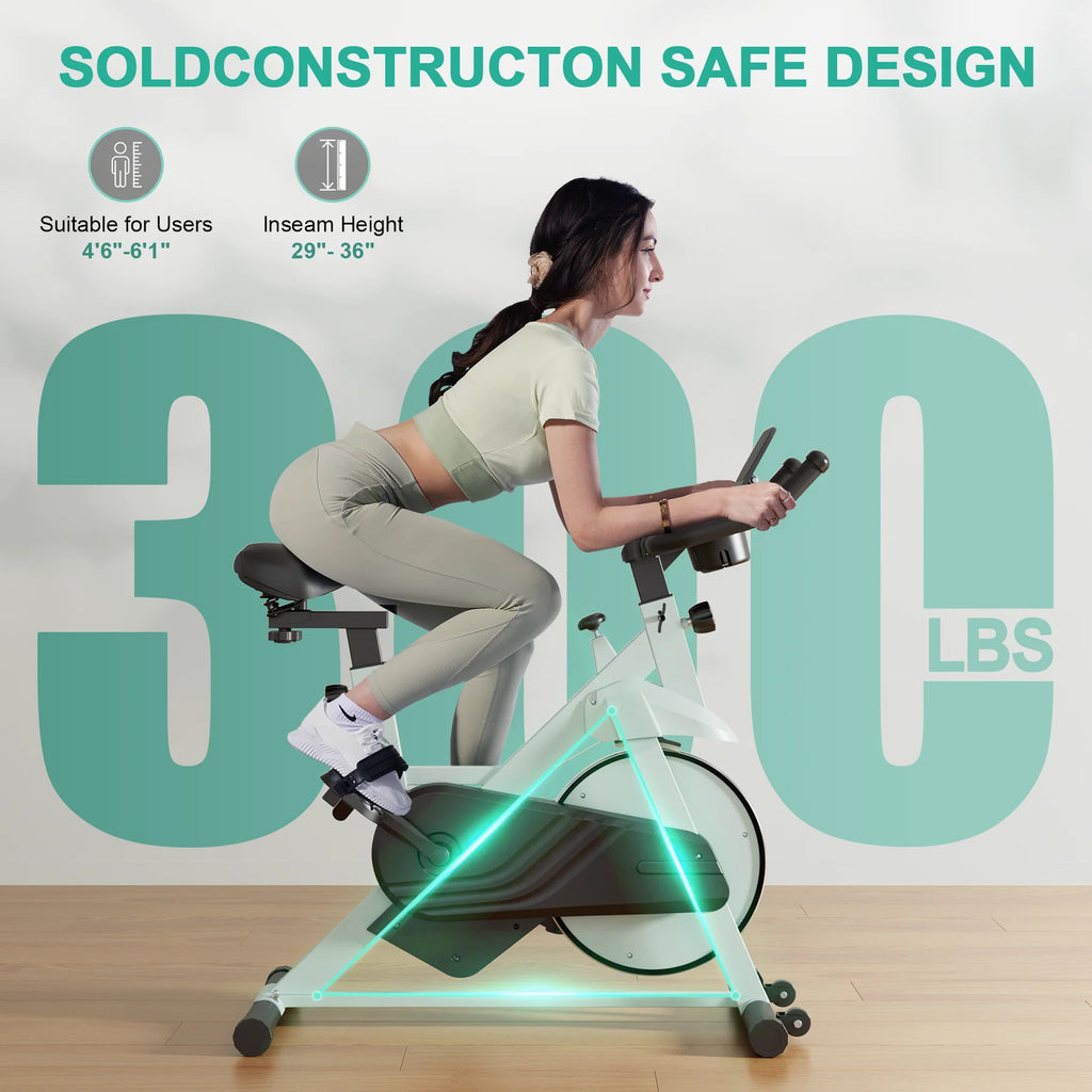 Low Noise Workout Cycling Bike for Home