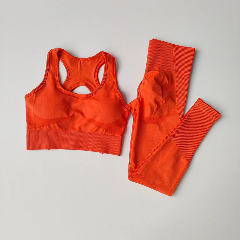 2PCS Sports Bra Women Set Professional Fitness Tank Top Bra Shockproof Running Leggings Yoga Suit Beautiful Back Bra Clothing