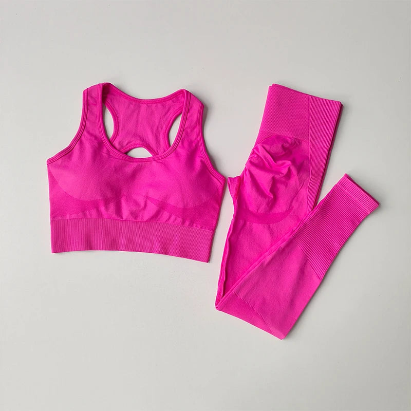 2PCS Sports Bra Women Set Professional Fitness Tank Top Bra Shockproof Running Leggings Yoga Suit Beautiful Back Bra Clothing
